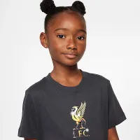 Liverpool FC Big дитячі Nike Soccer футболка колір сірий