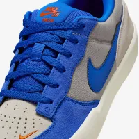 Nike SB Force 58 Skate Кроссовки цвет серый