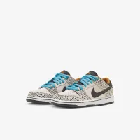 Nike SB Dunk Low Pro Electric Little дитячі Кросівки колір сірий