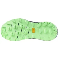 Кроссовки для бега w terenie Mizuno WAVE MUJIN 10 (J1GJ247061)