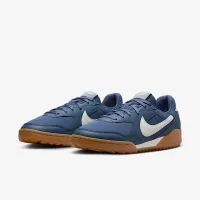 Nike Terra Manta жіноча Кросівки блакитний