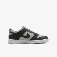 Nike Dunk Low Big детские Кроссовки цвет серый