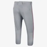 Nike Vapor Select мужские High Baseball Pants цвет серый