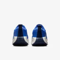 Nike Promina мужские Walking Кроссовки синий
