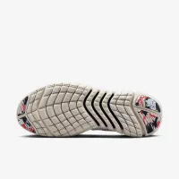 Nike Free Run 5.0 мужские Road Running Кроссовки цвет белый
