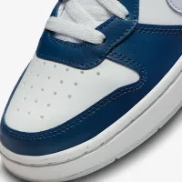 Nike Court Borough Low 2 Big детские Кроссовки цвет белый