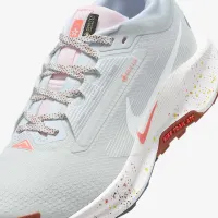 Nike Pegasus Trail 5 GORE-TEX женская Waterproof Trail Running Кроссовки цвет серый
