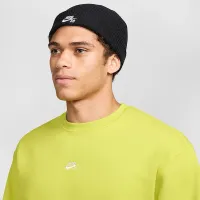 Nike Terra Nike SB Futura Beanie цвет черный