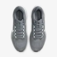 Nike Pegasus 41 чоловічі Road Running Кросівки колір сірий