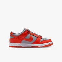 Nike Dunk Low Big детские Кроссовки цвет серый