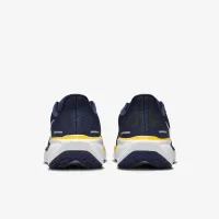 Michigan Pegasus 41 чоловічі Nike College Road Running Кросівки блакитний
