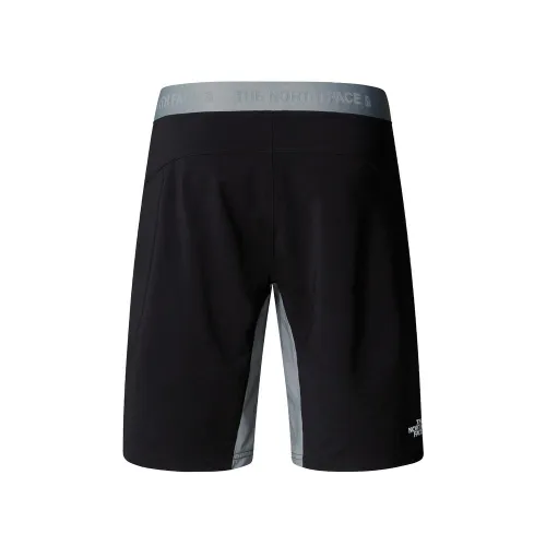 Шорты Мужские The North Face Felik 0A825XBO71 - серо-черные