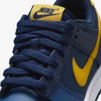 Nike Dunk Low Big дитячі Кросівки блакитний