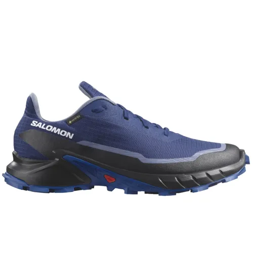 Кроссовки Мужские SALOMON ALPHACROSS 5 GTX Gore-TEX (473092)