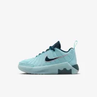 Nike LeBron Witness 9 Little детские Кроссовки синий