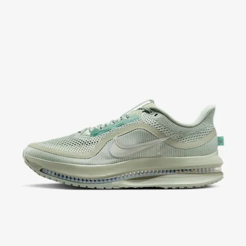Nike Pegasus Premium мужские Road Running Кроссовки цвет зеленый