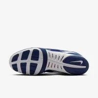 Nike Freek мужские Wrestling Кроссовки синий