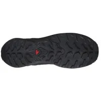 Кросівки для трейлраннінгу SALOMON XA META GTX Gore-Tex (478287)