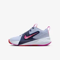 Nike Team Hustle D 12 Big детские баскетбольные Кроссовки цвет серый