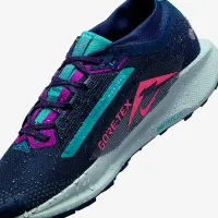 Nike Pegasus Trail 5 GORE-TEX чоловічі Waterproof Trail Running Кросівки блакитний