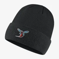Nike College (Delaware State) Beanie цвет черный