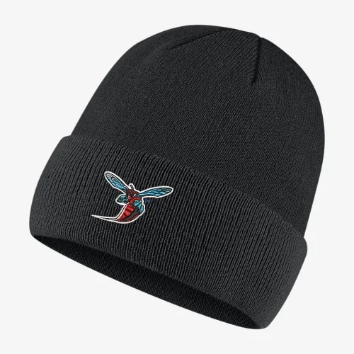 Nike College (Delaware State) Beanie цвет черный