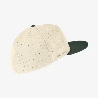 Michigan State Nike College Fitted Baseball Hat Grey