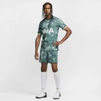 Tottenham Hotspur 2024/25 Match Third чоловічі Nike Dri-FIT ADV Soccer Authentic Jersey колір зелений