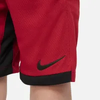 Nike Trophy Big дитячі (для хлопчиків) тренувальні шорти колір червоний