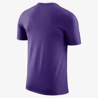 Los Angeles Lakers Essential чоловічі Nike NBA футболка колір фіолетовий