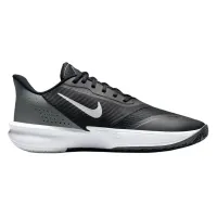 Кроссовки do баскетбол NIKE AIR PRECISION VII (FN4322 005)
