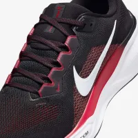 Nike Pegasus 41 чоловічі Road Running Кросівки колір чорний