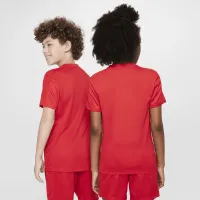 Nike Trophy23 Big детские Dri-FIT Short-Sleeve Top цвет красный