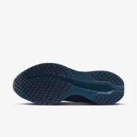 Nike Pegasus Premium жіноча Road Running Кросівки блакитний