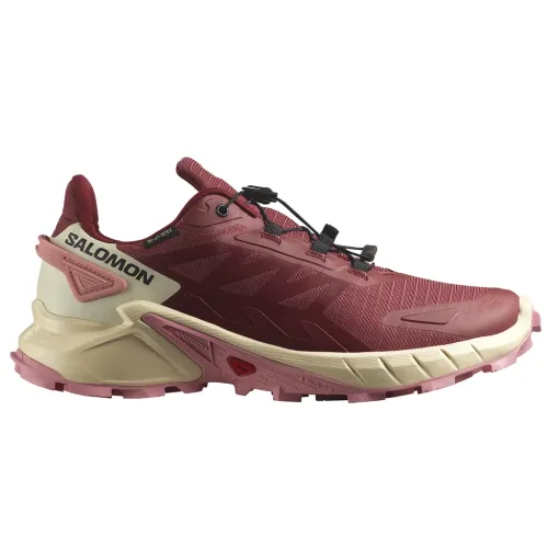 Кросівки для бігу w terenie SALOMON SUPERCROSS 4 GTX Gore-TEX (473168)