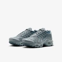 Nike Air Max Plus Big детские Кроссовки цвет серый